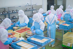 haccp